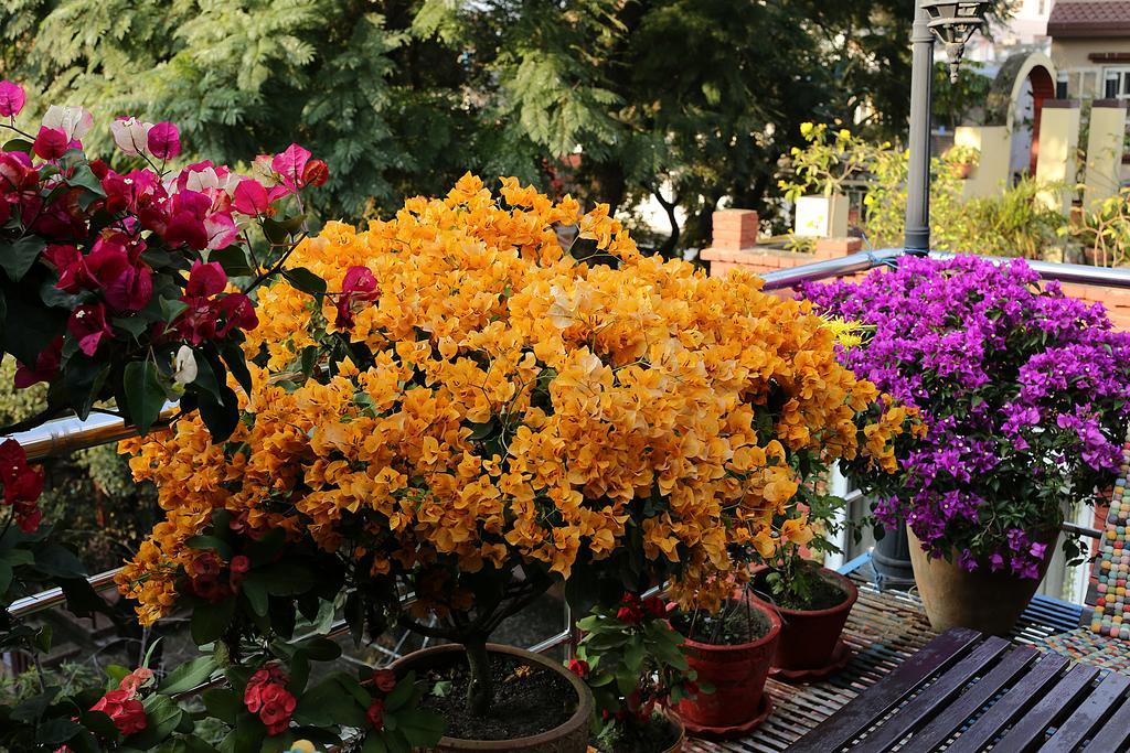 Shangrila Boutique Hotel Kathmandu Buitenkant foto